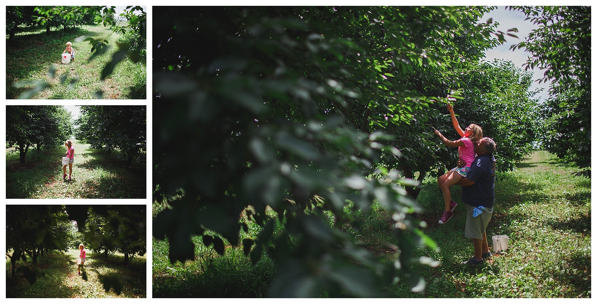 Orange County summer photography Orange County summer photography